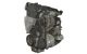 Motor BSW Volkswagen NEW Beetle Convertible (Versión 2005) 1.9 TDI (105 cv)