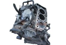 Motor bug Audi Q7 Van (4LB) 3.0 TDI quattro (232 cv) 2007