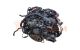Motor BWT Audi A4 (B8 8K) 2.0 TDI (120 cv)