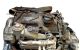 Motor BXE Volkswagen Golf V 1.9 TDI (105 cv)