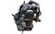 Motor BXE Volkswagen Golf V 1.9 TDI (105 cv)
