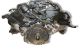 Motor CALA Audi A5 Sportback (8TA) 3.2 FSI V6 (265 cv) quattro S tronic