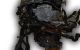Motor CAYB Seat Ibiza V ST (6J8, 6P8) 1.6 TDI (90 CV)