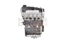 Motor CAYC Seat Altea Freetrack (Versión 2009) 1.6 TDI (105 cv) start/stop