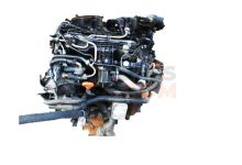 Motor CAYE Volkswagen CADDY III (2K,2C) 1.6 TDI (75cv)