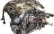 Motor CDSB Audi A8 (D4, 4H) 3.0 TDI V6 (250 cv) quattro Tiptronic