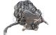 Motor CGLC Audi A5 Sportback (8TA) Versión 2011 2.0 TDI (177 cv) quattro