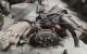 Motor M-28 - M28 Citroen Dyane 6 (29 cv)