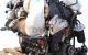 Motor CUAA Volkswagen Passat (B8) 2.0 TDI (240 cv) BMT DSG 4MOTION