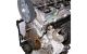 Motor CXM Audi A1 (8X) Versión 2014 1.6 TDI (116 cv)