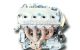 Motor D16W5B260 Honda HR-V (Gh) 1.6 i 16V 4WD (3 dr) (124 cv)