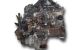 Motor D27DT Ssangyong Rexton RX 270 Xdi (163 cv)