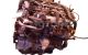 Motor D27DTP Ssangyong Rexton II RX 270 Xdi MT (163 cv)