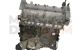 Motor D4204T Volvo C30 2.0D (136)