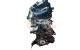 Motor D4F 740 Renault Clio III 1.2 i 16V (78 cv) Automatico