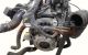 Motor D4FB Hyundai i30 II (Versión 2015) 1.6 CRDi (110 cv)