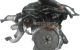 Motor D4FE Kia SPORTAGE V (NQ5) 1.6 CRDi (116 cv)
