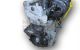 Motor D7F800 Renault Captur (Versión 2017) 1.2 TCe (120 cv) Start & Stop