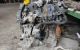 Motor K9K792 Dacia Sandero I 1.5 dCi (68cv)