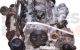 Motor dad Seat Ibiza V 1.5 TSi (150cv)