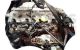 Motor DD85C Jeep Cherokee II (KJ) 2.5 CRD (143 cv)