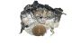 Motor ddt Audi A8 (D4, 4H) 4.0 TFSI V8 (420 cv) quattro Tiptronic