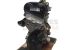 Motor DKL Audi A1 (8X) Versión 2014 1.0 TFSI (82 cv)