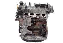 Motor DNNF Volkswagen GOLF VIII (CD1) 2.0 TSI R 4motion (333 cv)