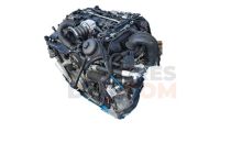 Motor DPE Porsche 911 (991) Carrera GTS 3.8 (430 cv)