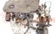 Motor DV5RD Toyota PROACE CITY VERSO Monospace 1.5 D-4D 100 (BKYMD) (102 cv)