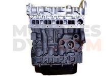 Motor F1AE3481E Fiat Ducato Autobús (250_, 290_) 120 Multijet 2.3 D (120 cv)