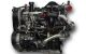 Motor F1AE3481E Fiat Ducato Caja/Chasis (250_, 290_) 150 Multijet 2.3 D (148 cv)