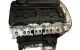 Motor F1AE3481E Iveco Daily IV Autobús 35S14 G (136 cv)