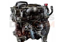Motor F1CE0481D (F30DT) Citroen Jumper Furgón 3.0 HDi 160 (157 cv)