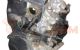 Motor F3PB674 Renault Laguna 1.8 (B56A/B) (90 cv)