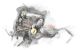 Motor F9Q 732 Renault Megane CC 1.6 16V (110 CV)