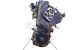 Motor F9Q 800 Renault Megane II 1.9 dCi (120 cv)