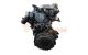 Motor F9QA260 Nissan Primera (P12) 1.9 dCi (120 cv)