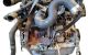 Motor 9HM (DV6UC) Fiat Scudo Furgón (270_, 272_) 1.6 D Multijet (90 cv)