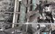 Motor Ford C-MAX 1.6 TDCi (109 cv)