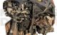 Motor PNDD  Ford C-MAX II 1.6 Duratec Ti-VCT (125 cv)