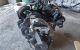 Motor HHDA Ford C-MAX (Versión 2007) 1.6 TDCi (90 cv)