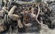 Motor RVA Ford Escort VII (GAL,AAL,ABL) 1.8 TD (70 cv)