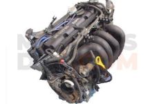 Motor FYDB1B Ford Focus Descapotable II 1.6 Duratec 16V (100 cv)