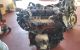 Motor QXBA Ford Mondeo III Hatchback 2.0 TDCi (140 cv)