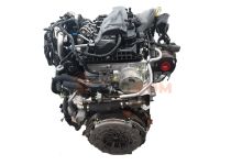 MotorFord RANGER (TKE) 2.0 EcoBlue 4x4 (170CV)