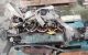 Motor Ford Transit Caja/Chasis (E_ _) 2.5 DI (EML/S, ENL/S) (69 cv)