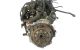 Motor FYDD Ford Focus I Sedan 1.6 16V (100 cv)