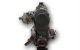 Motor G16A Suzuki Vitara Cabrio (ET) 2.0 HDI (SE 420HDI) (87 cv)