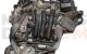 Motor G3LD, G3LA Kia Picanto III 1.0 (67 cv) ISG